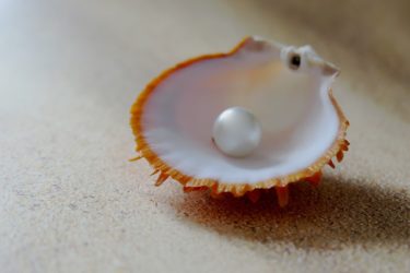 shell